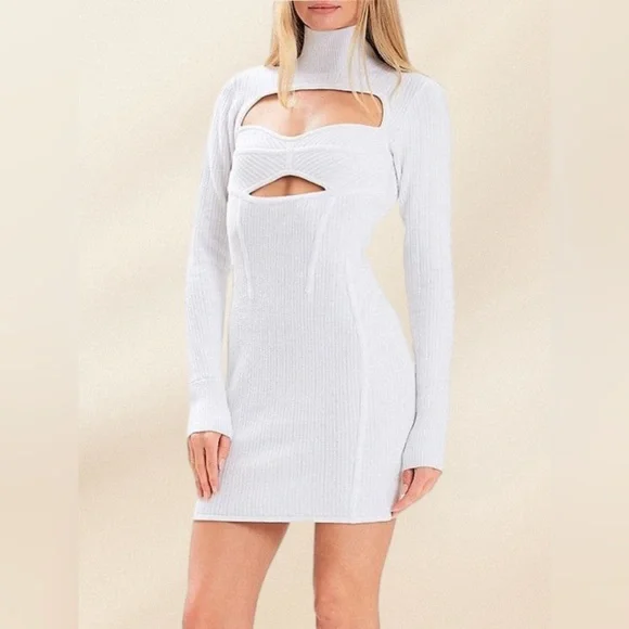 Herve Leger | Dresses | Herv Lger Micro Stitch Long Sleeve Mini Dress |  Poshmark
